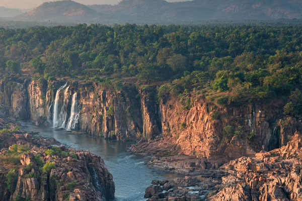 Darshan tour and travels